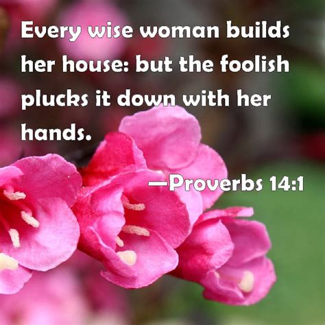 Proverbs14 KJV - Every wise woman buildeth her house: