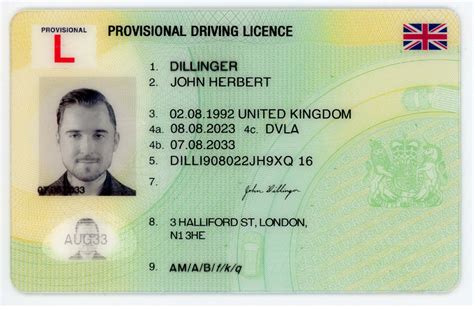 Provisional license fake id.  Provided or serving only for the time being.  Define...