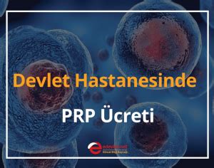 codini.rgarabwor.edu.pl. 