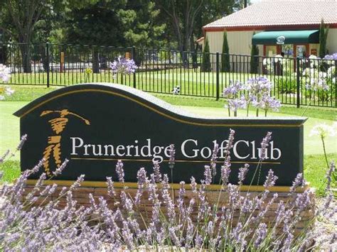 Pruneridge. Last 7 days. Pruneridge Golf Club. Pro Shop Attendant. Santa Clara, CA. $37K - $61K (Glassdoor est.) Easy Apply. 30d+. Pruneridge Golf Club. 