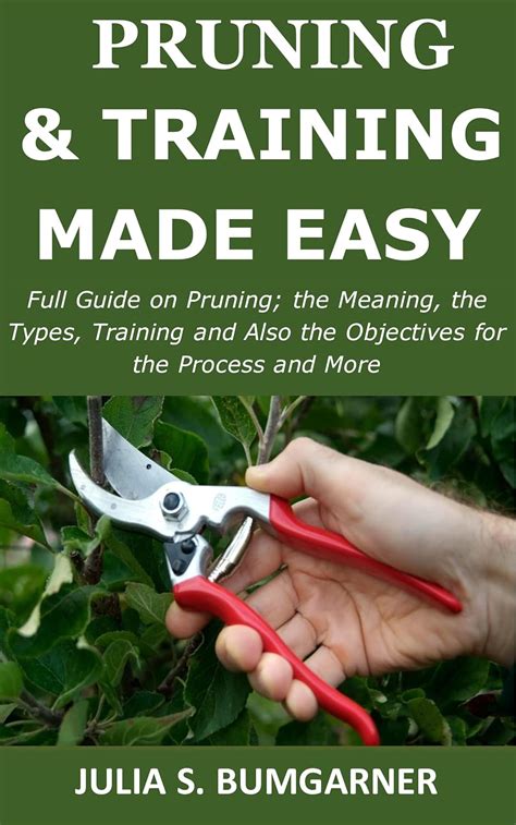 Pruning And Training