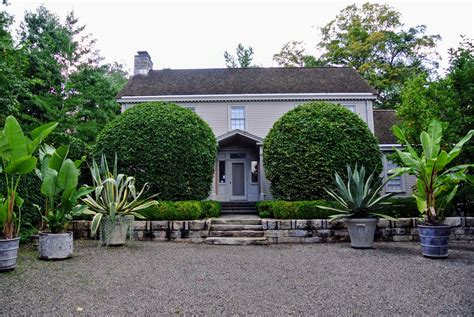 Pruning and Sculpting My Hornbeams - The Martha Stewart Blog