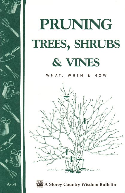 Read Online Pruning Trees Shrubs  Vines Storeys Country Wisdom Bulletin A54 By S Smith