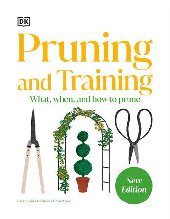 Read Pruning And Training By Dk Publishing