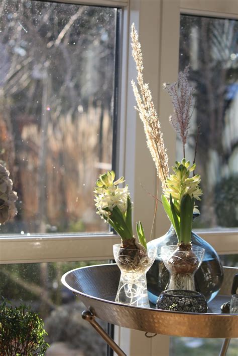 Prydnadsgr&auml;sfr&ouml;n &ndash; Garden Seeds Market: Gratis frakt