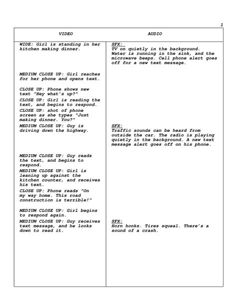 script for actions and dialogue (use back of sheet or another piece of paper as necessary). 2. Goal: These words ﬂ ash across the screen. 3. Reasons: Voiceover explains the problem while image shows problem. 4. Facts: Voiceover discusses the facts while image shows facts. 5. For More Information: Show organization phone or website (make one up