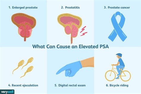PSA production in the prostate gland is normal, and levels will increase as men age. Other contributing factors for an elevated PSA level involve benign causes such as infection, inflammation, or benign prostatic hyperplasia (BPH). Conversely, some factors, such as anti-inflammatory medications and obesity, may decrease PSA levels.. 