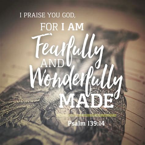 New International Version. 14 I praise you because I am fearfully a