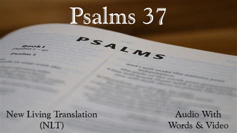 Psalm 37 niv audio. Psalm 5 - For the director of music. For pipes. A psalm of David. Listen to my words, LORD, consider my lament. Hear my cry for help, my King and my God, for to you I pray. In the morning, LORD, you hear my voice; in the morning I lay my requests before you and wait expectantly. For you are not a God who is pleased with wickedness; with you, evil people are not welcome. The arrogant cannot ... 