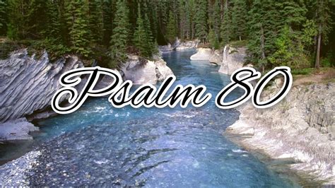 Psalms 80 NLT Psalms 80 1 Please listen, O Shepherd of Israel, you who lead Joseph’s descendants like a flock. O God, enthroned above the cherubim, display your radiant glory 2 to Ephraim, Benjamin, and Manasseh. Show us your mighty power. Come to rescue us! 3 Turn us again to yourself, O God. Make your face shine down upon us.. 