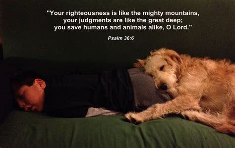 Psalms 36 6 dogs go to heaven. Psalms 36:6. Thy righteousness [is] like the great mountains. Or, "the mountains of God"; so called for their excellency, as the cedars of God, ( Psalms 80:10 ) ; or, as Gussetius F5 observes, the greatest and highest mountains, which are here meant, reaching above the clouds and the region of the air, are the pillars of the palace of God, and ... 