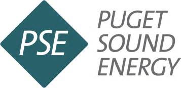 Pse energy. Things To Know About Pse energy. 