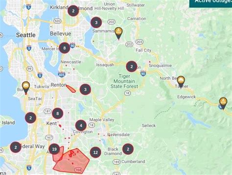 Outages. Outage map Report an outage ... *City of Seattle PSE natural gas customers are not eligible for steamer, ... Restaurant Depot - Woodinville: 6130 12th St E Fife, WA 98424: 253-922-4704: 3670 E Marginal Way S Seattle, WA 98134: