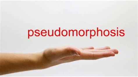 Pseudomorphosis Definition & Meaning - Merriam-Webster