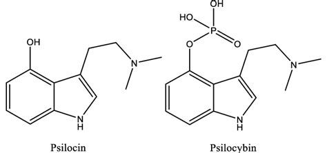 Psilocybin as Psilocin (Qualitative), Blood - NMS Labs