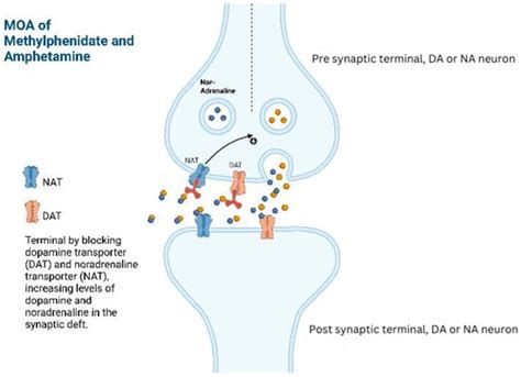 Psychoactives Free FullText Use of Methylphenidate for Hypoactive