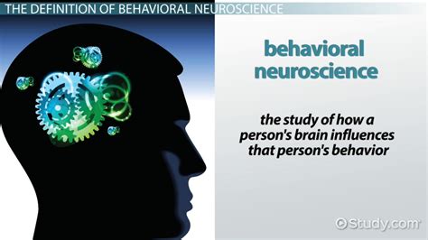 Psychology neuroscience behavior study guide answers. - Manuale officina motosega stihl ms640 ms650 ms660.