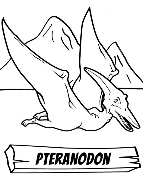 Art For Adults Coloring Book