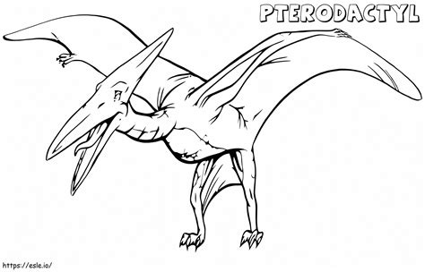 Pterodactyl Coloring Shee