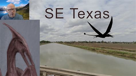 Pterodactyl Sighting in Southeast Texas - YouTube