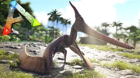 The Tapejara (Tap-a-jar-uh) is one of the Creatures in ARK: Survival Evolved. This section is intended to be an exact copy of what the survivor Helena Walker, the author of the dossiers, has written. There may be some discrepancies between this text and the in-game creature. Found living around cliffs, tall redwood forests, and other largely vertical …. 