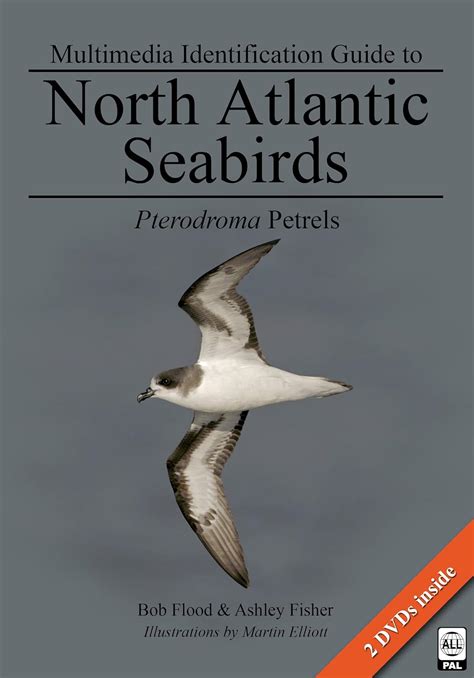 Pterodroma petrels multimedia identification guides to north atlantic seabirds. - Julie of the wolves study guide.