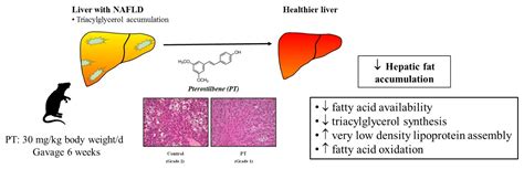 Pterostilbene Reduces Liver Steatosis and Modifies …