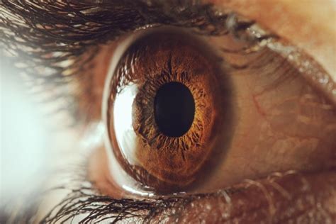 Pterygium Prevention - How to Protect Your Eyes