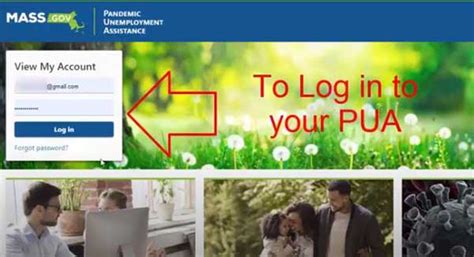 Pua login massachusetts. Things To Know About Pua login massachusetts. 