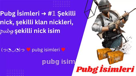 Pubg Nickleri.