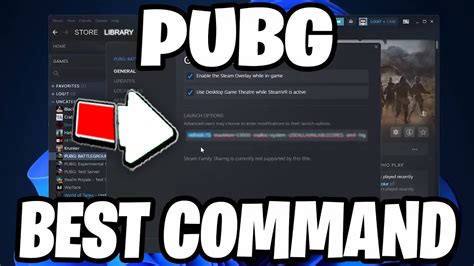 Pubg launch options novid.  Enter the command &lsquo;-fullscreen&lsquo;.  Launch Options are co...