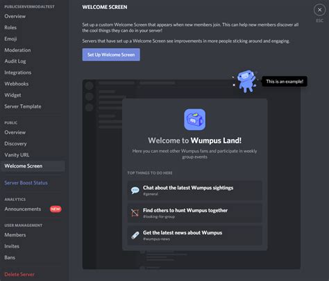 Public Server Screen Discord