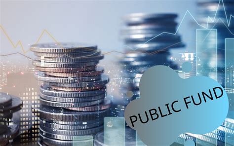 Public fund. Public fund definition: Funds are amounts of money that are available to be spent , especially money that is... | Meaning, pronunciation, translations and examples in American English 