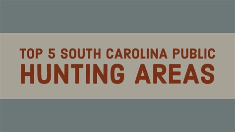 Here are a few quick tips regarding wild boar hunting laws in South Carolina: -A permit is required to hunt wild boar on public land in South Carolina. -It is illegal to shoot a wild boar from a moving vehicle, including boats. -It is also illegal to shoot a wild boar with the aid of artificial light, including spotlighting.