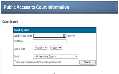Public portal access criminal. .  ...
