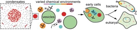 Publications - Childers Lab