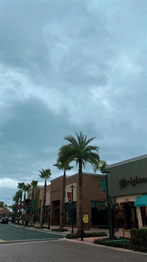 Publix pharmacy shoppes at new tampa. The Shoppes at New Tampa - shopping mall with 45 stores, located in Wesley Chapel, 1908 Bruce B Downs Blvd, Wesley Chapel, FL - Florida, 33544: hours of operations, … 