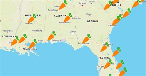 Publix supermarket store locator. Contact Sales. There are 1,390 Publix locations in the United States as of October 09, 2023. The state/territory with the most number of Publix locations in the US is Florida with 877 locations, which is 63% of all Publix locations in America. 