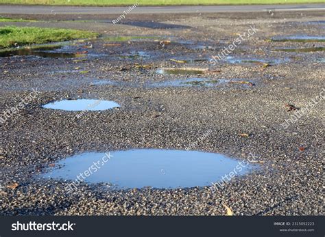 Puddles Leaks 🔥 [CLIP]