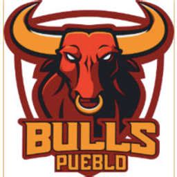 Pueblo Bulls - Crunchbase Company Profile & Funding