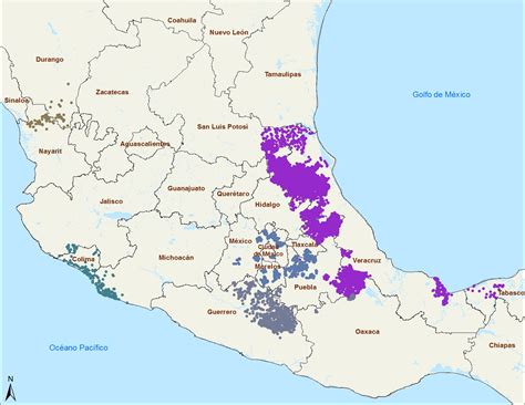 Pueblos de habla náhuatl de la región de tlaxcala y puebla. - Risk and return in asian emerging markets a practitioners guide.