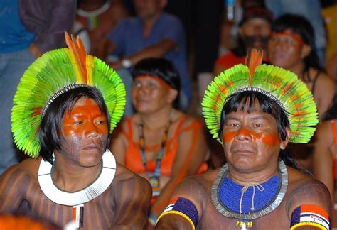 Pueblos indígenas de la amazonía boliviana. - Tracteur kubota manuel l1 22 dt.