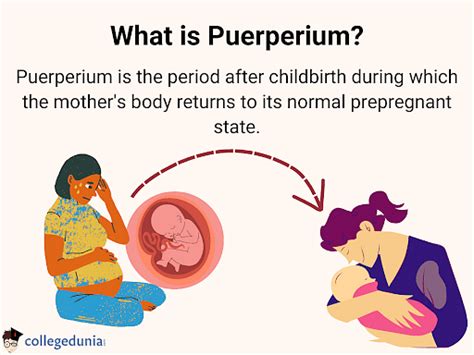 Puerperal insanity is a nineteenth-century diagnosis that links insanity not only to a recent childbirth but also to lactation, pregnancy, and miscarriage to mental illness (Hogan 2006;Loudon 1988 .... 