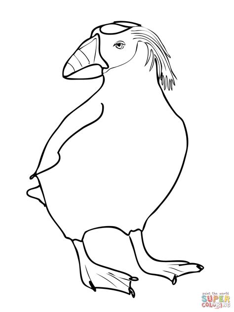 Puffin Coloring Pages Coloring Home