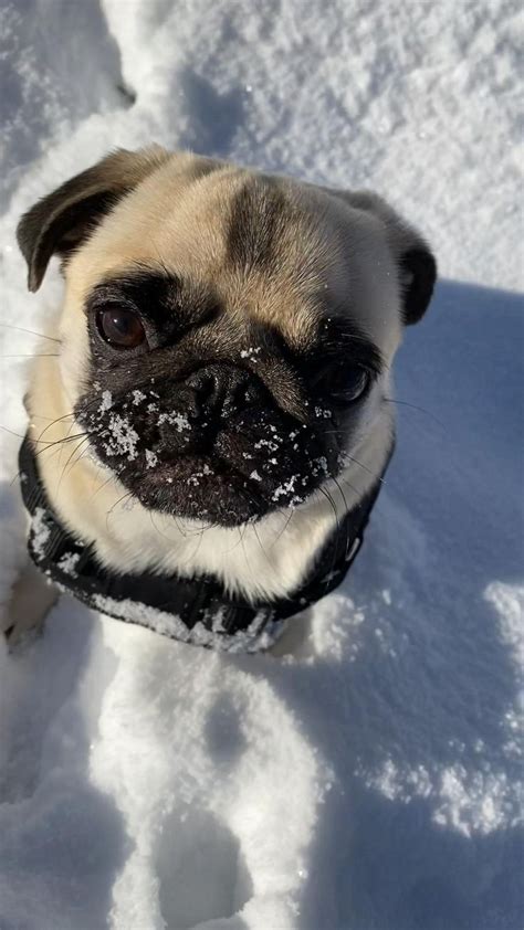 codini.rgarabwor.edu.pl. 