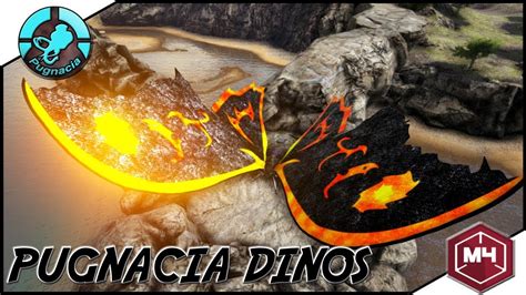 Pugnacia spawn codes - hygb.swm-balazek.de