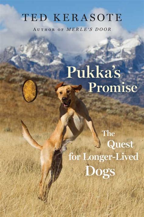 Pukka s Promise The Quest for Longer Lived Dogs