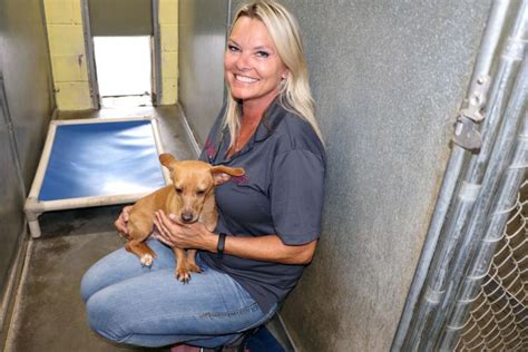 Pulaski county animal shelter. Pulaski County Animal Shelter - Facebook 