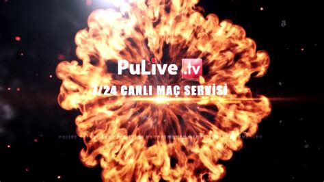Pulive