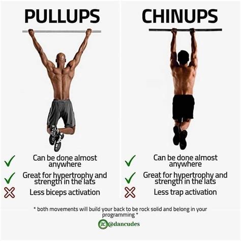 Pull up pull up. Should take you a half hour maybe and youll be capable of more as you go. Short answer: yes, but don't neglect legs. My approach: dips, pull-ups, and Bulgarian split squats. 3 great exercises that, when you work them hard, will give you better results than most gym-goers. 
